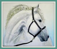 Painting - White Horse - Oil On Canavas